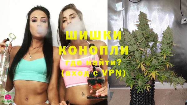 стафф Верхний Тагил