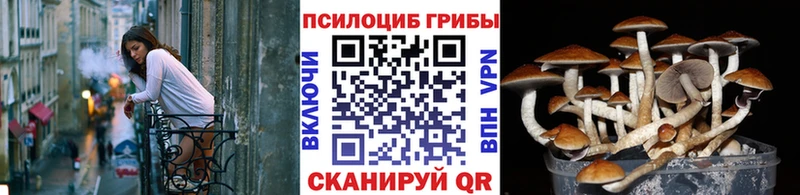 Галлюциногенные грибы Cubensis  Лукоянов 